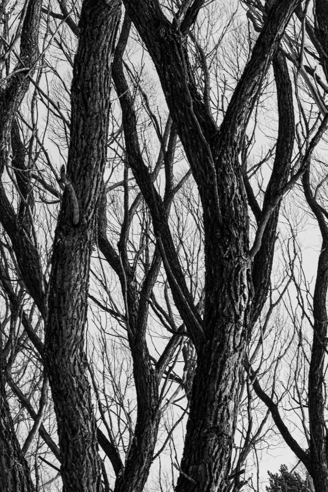 Photograph by Вета Юн