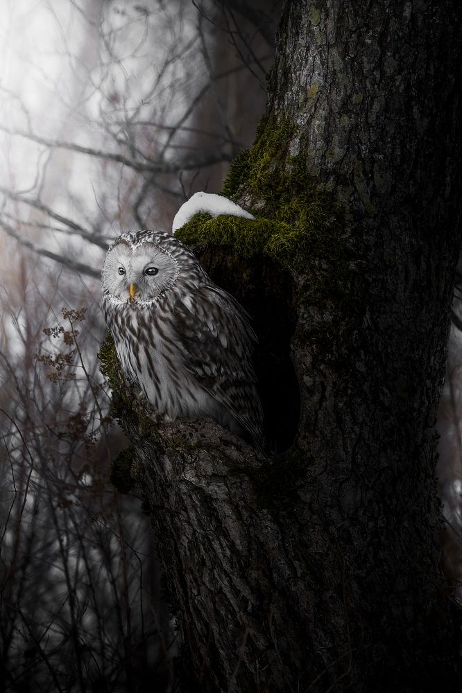 Photograph by Matsubara Hiroki