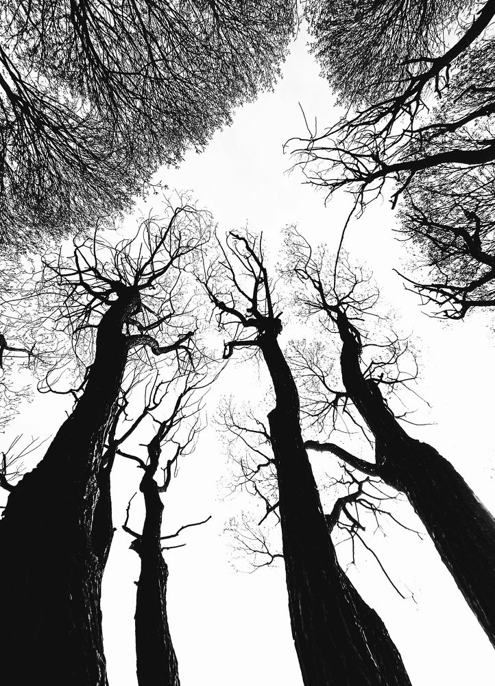 Photograph by Марина Хохрякова