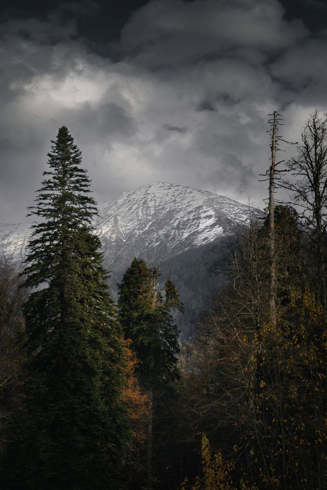 Фотография автора Andrey