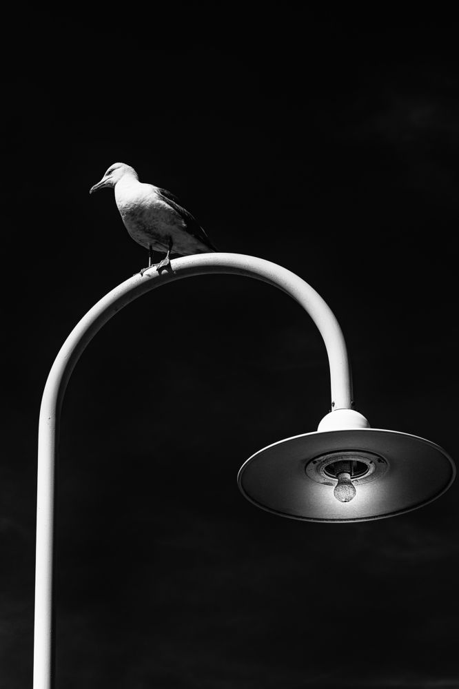 Photograph by Maurizio Scianni