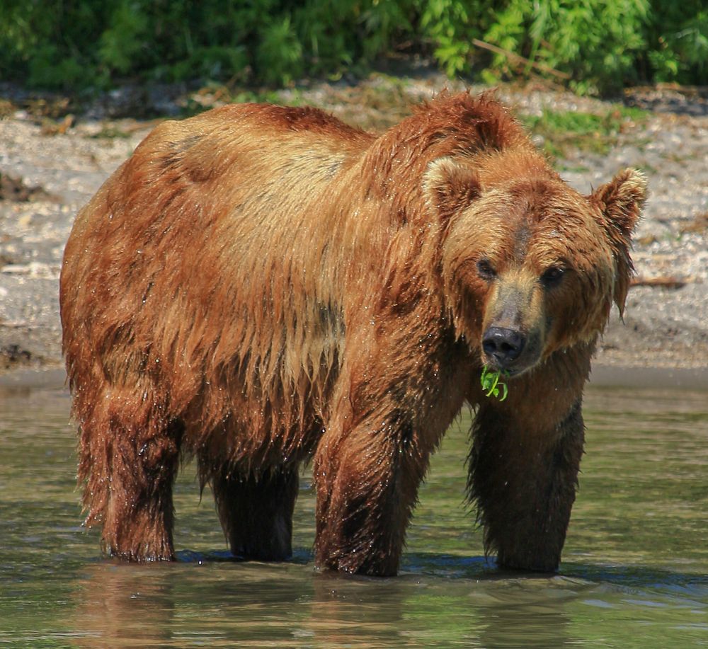 Photograph by Александр Довганюк