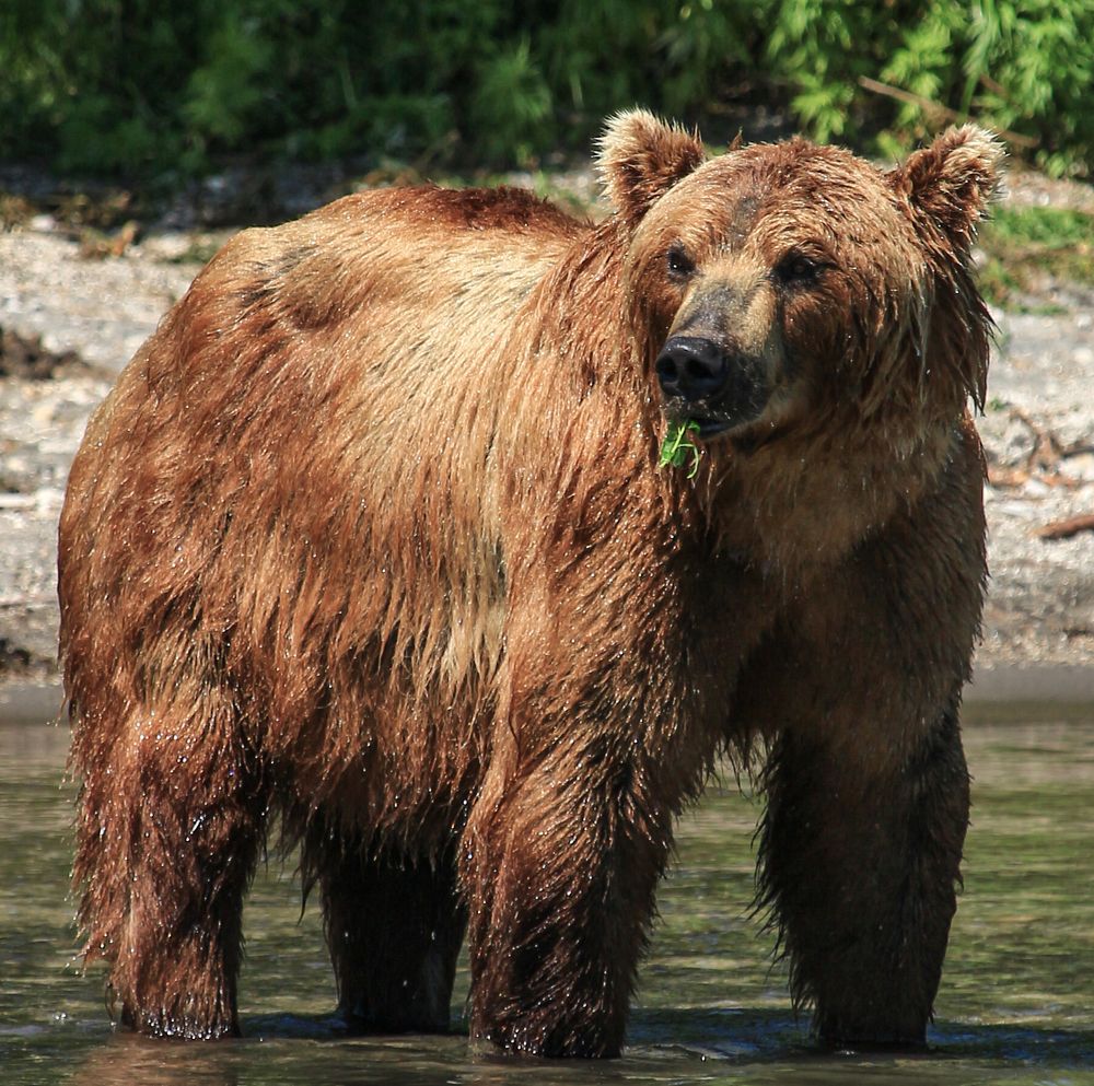 Photograph by Александр Довганюк