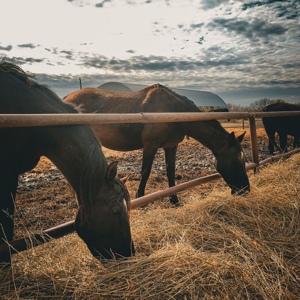 Фотография автора Нина Зинченко