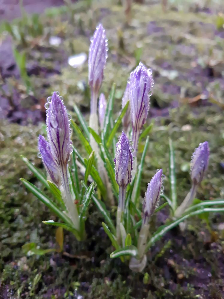 Фотография автора Светлана Дунаева