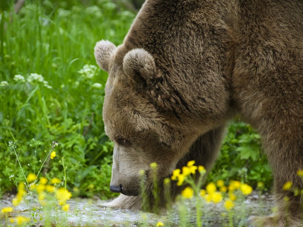 Photograph by Юрий Юрьевич