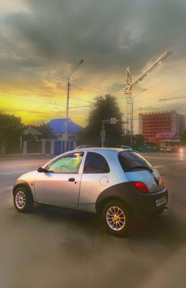 Photograph by Алла Холодова