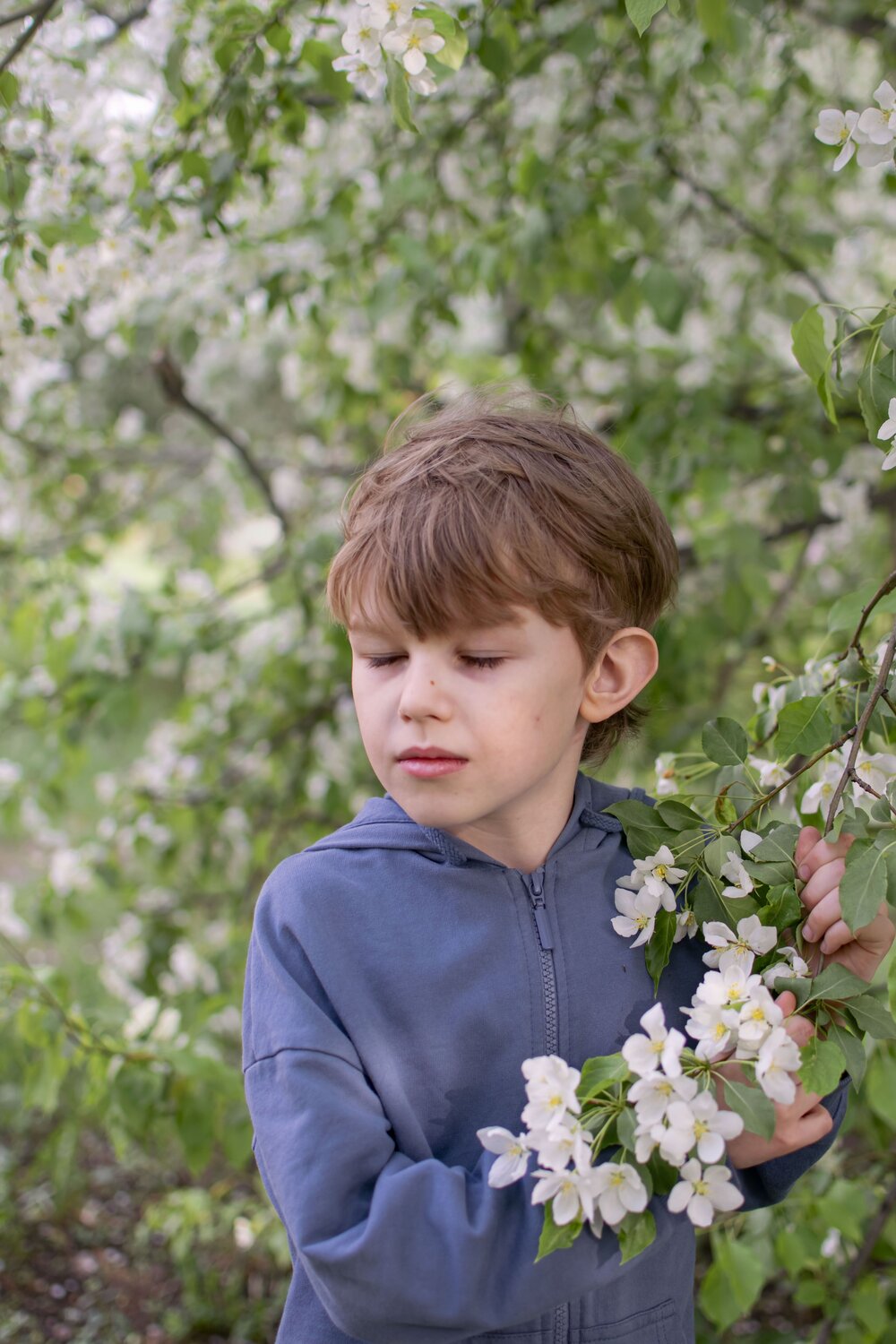 Photo #9109969