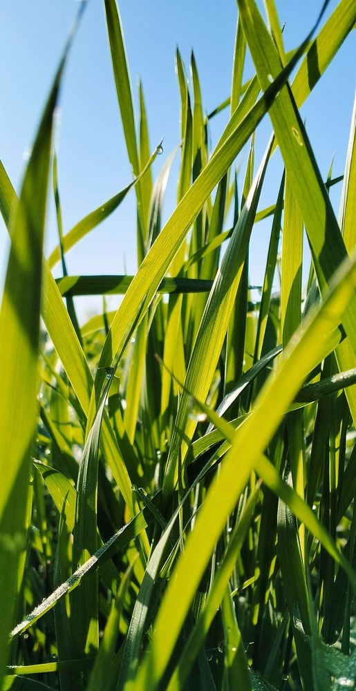 Утро нового дня