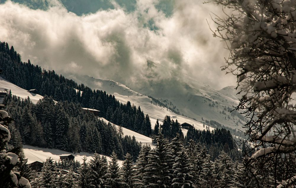 Photograph by Liliana Negoi