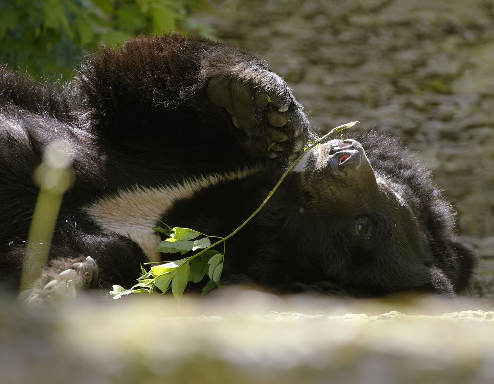 Photograph by Юрий Юрьевич