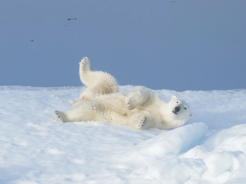 Photograph by Tatyana