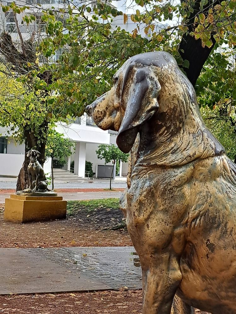 Фотография автора gustavo pecelis