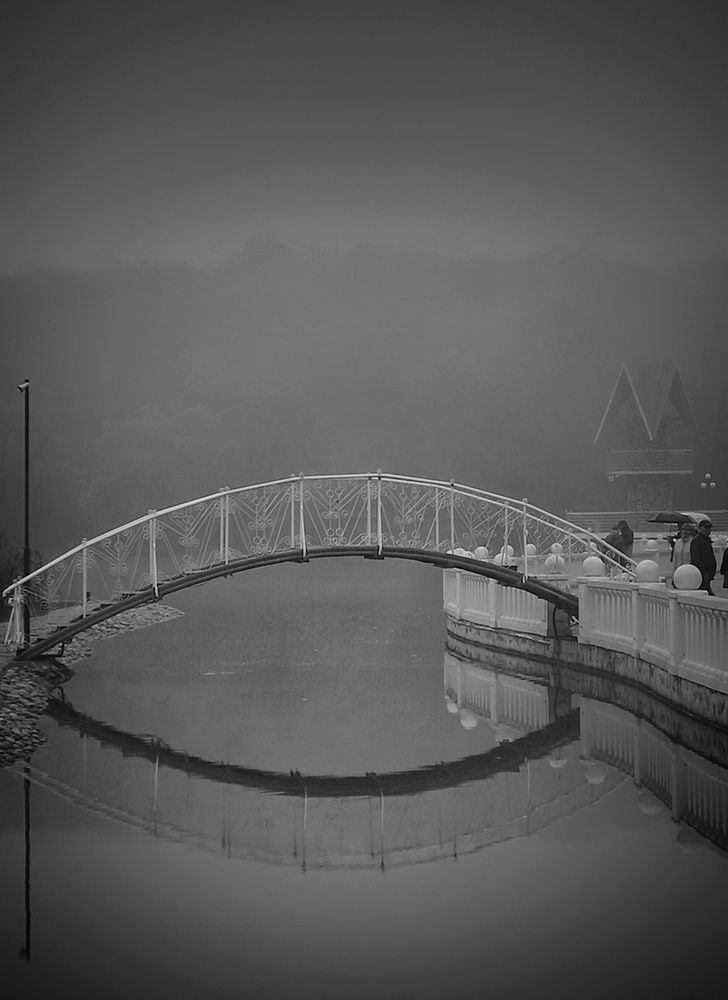 Photograph by 