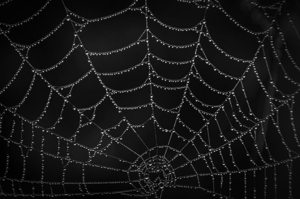 Photograph by Татьяна Романова