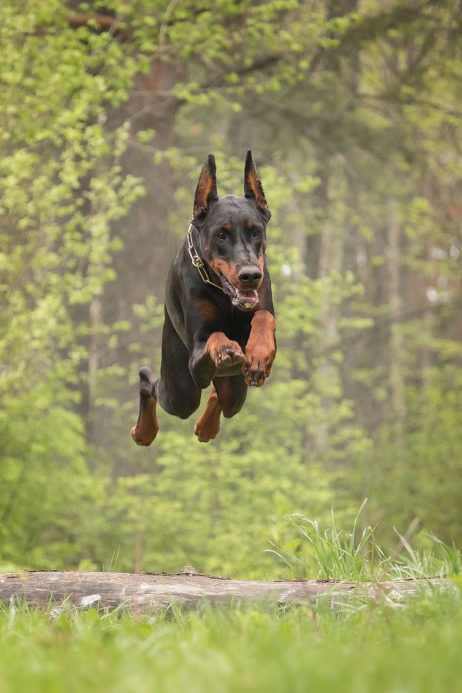 Photograph by Виктория Мамаева