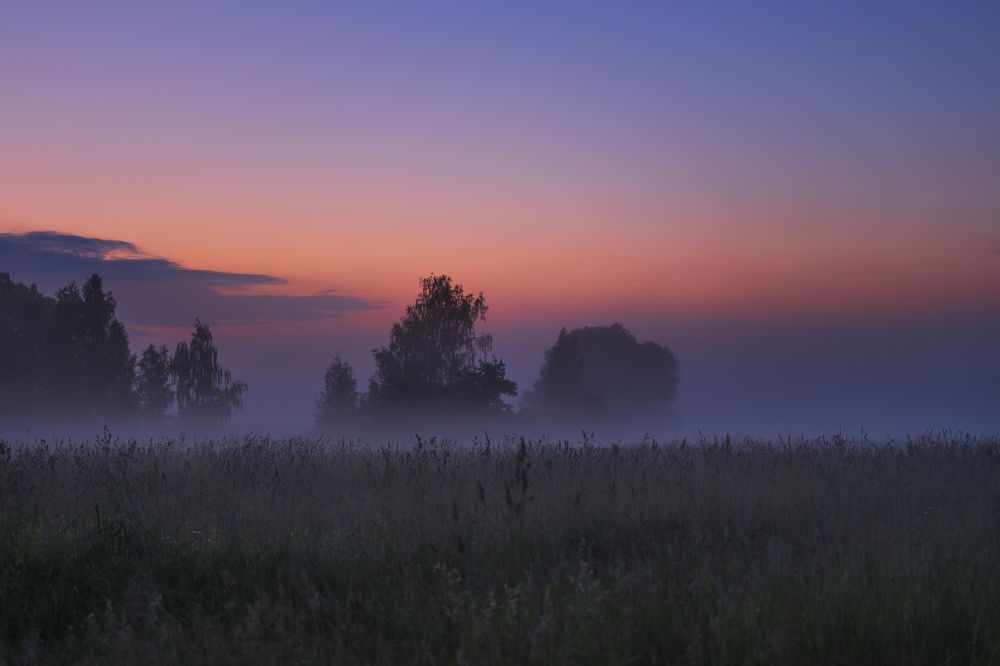 Photograph by Михаил Павленко