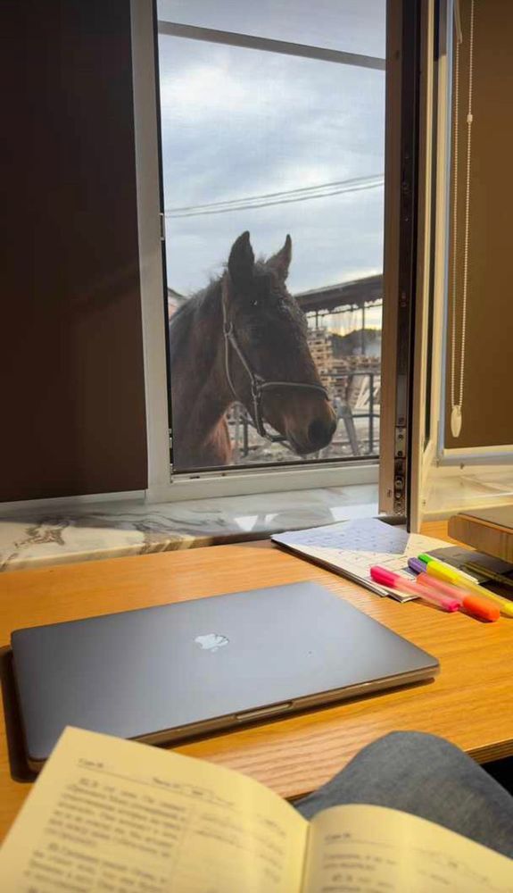 Photograph by Murat Pseunov