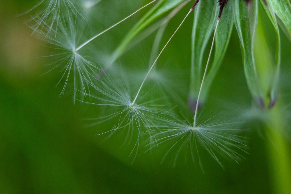 Photograph by Nastya Perekhodkina