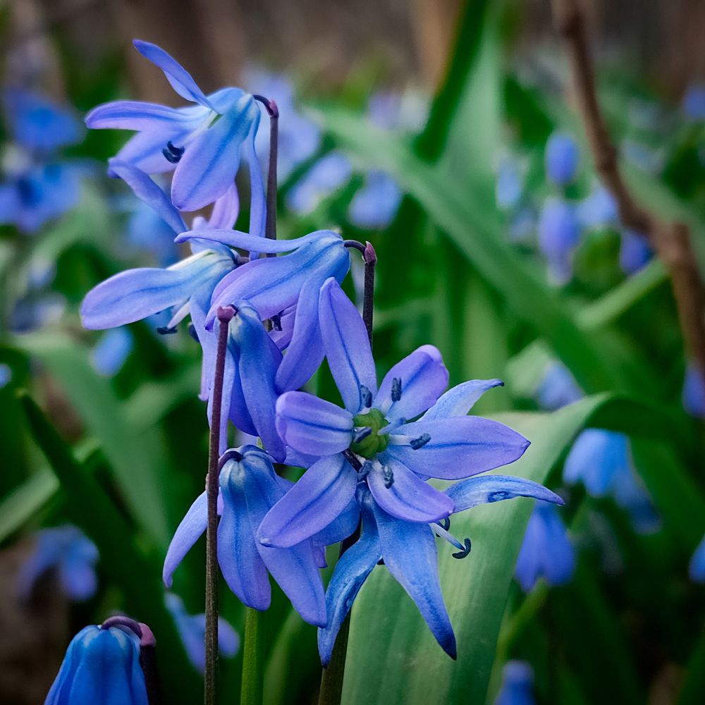 Фотография автора Нина Зинченко