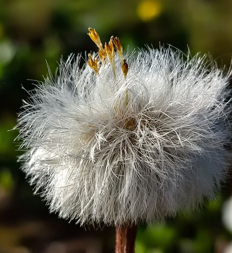 Фотография автора Нина Зинченко