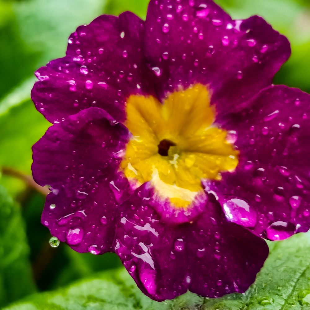 Фотография автора Нина Зинченко