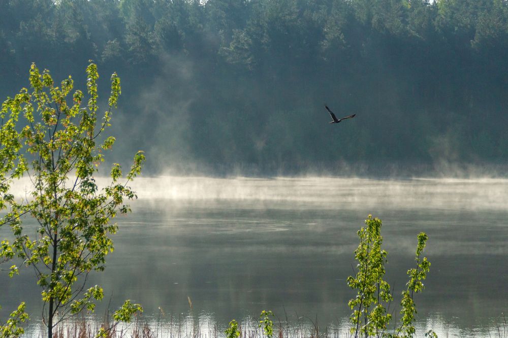 Photograph by Алексей