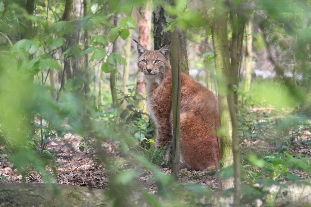 Photograph by Viktor Dikmann