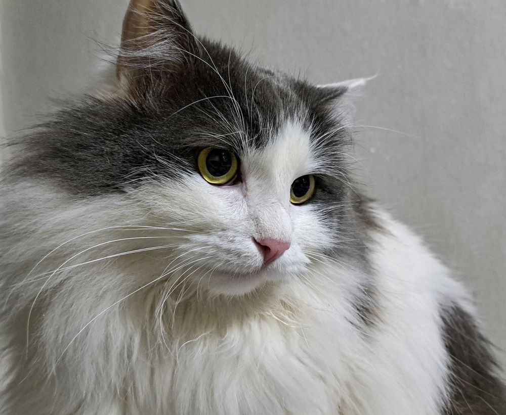 Photograph by Михаил Беляев