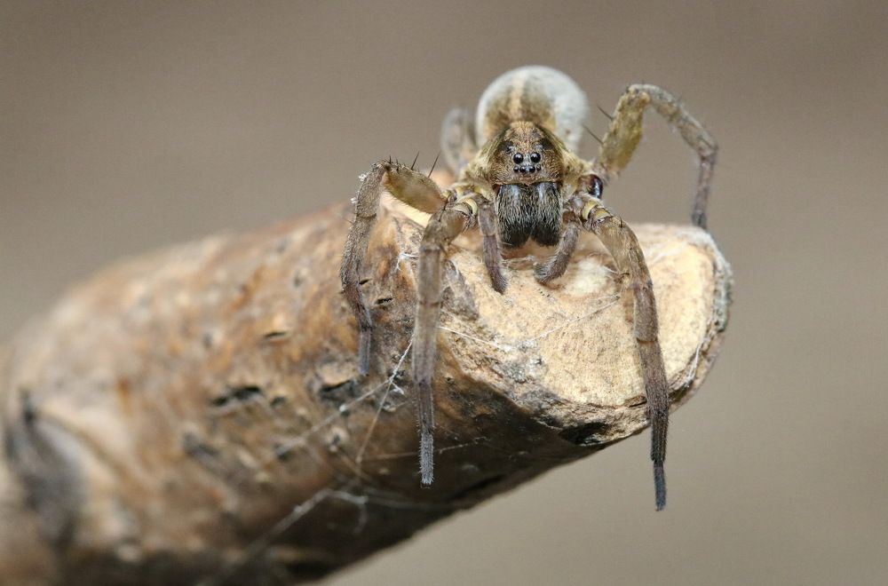 Photograph by Игорь Осипов