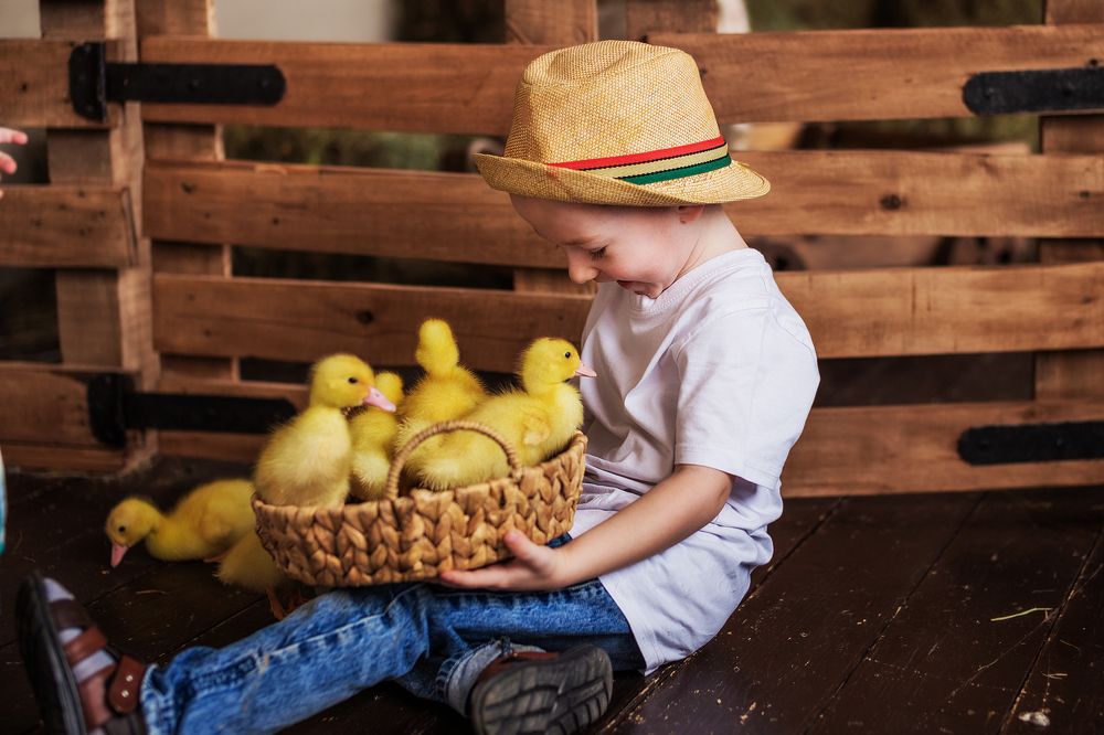 Photograph by Ольга Сорокина