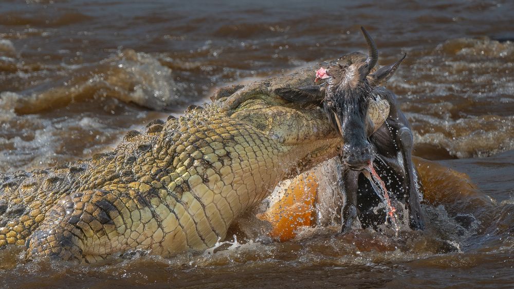 Photograph by Robert Dodson