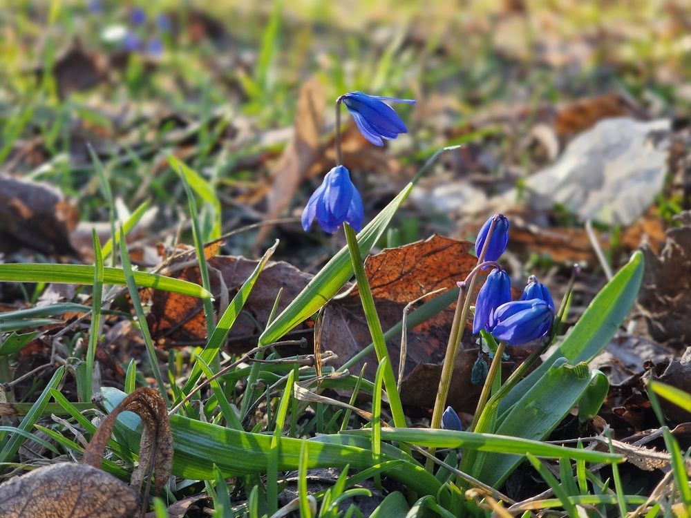 Фотография автора Ольга