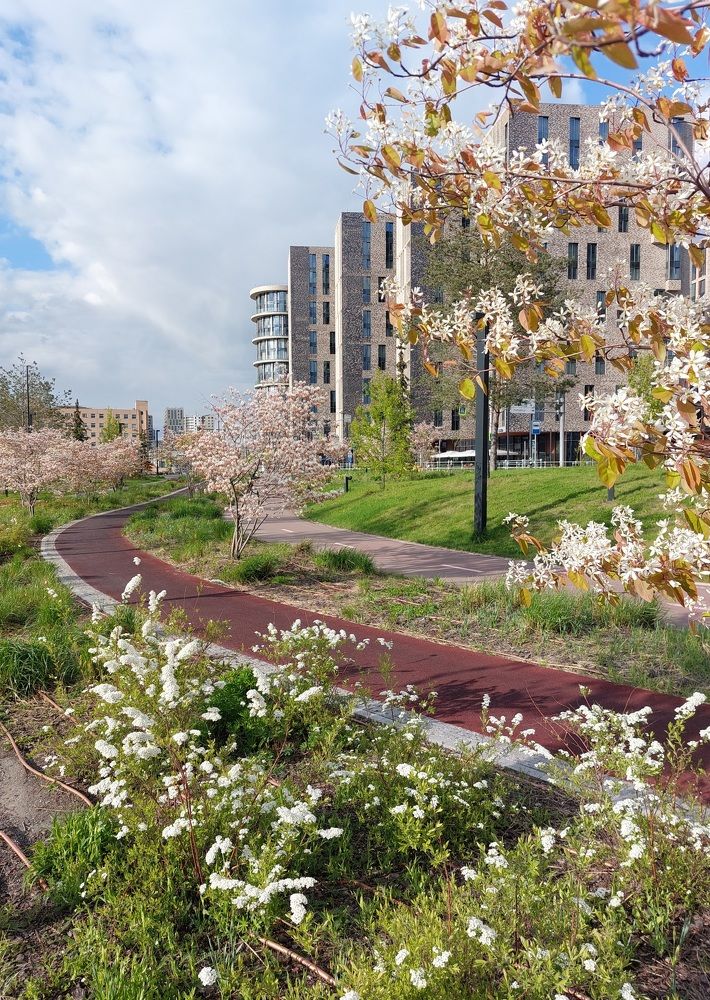 Photograph by Марина Алёшина