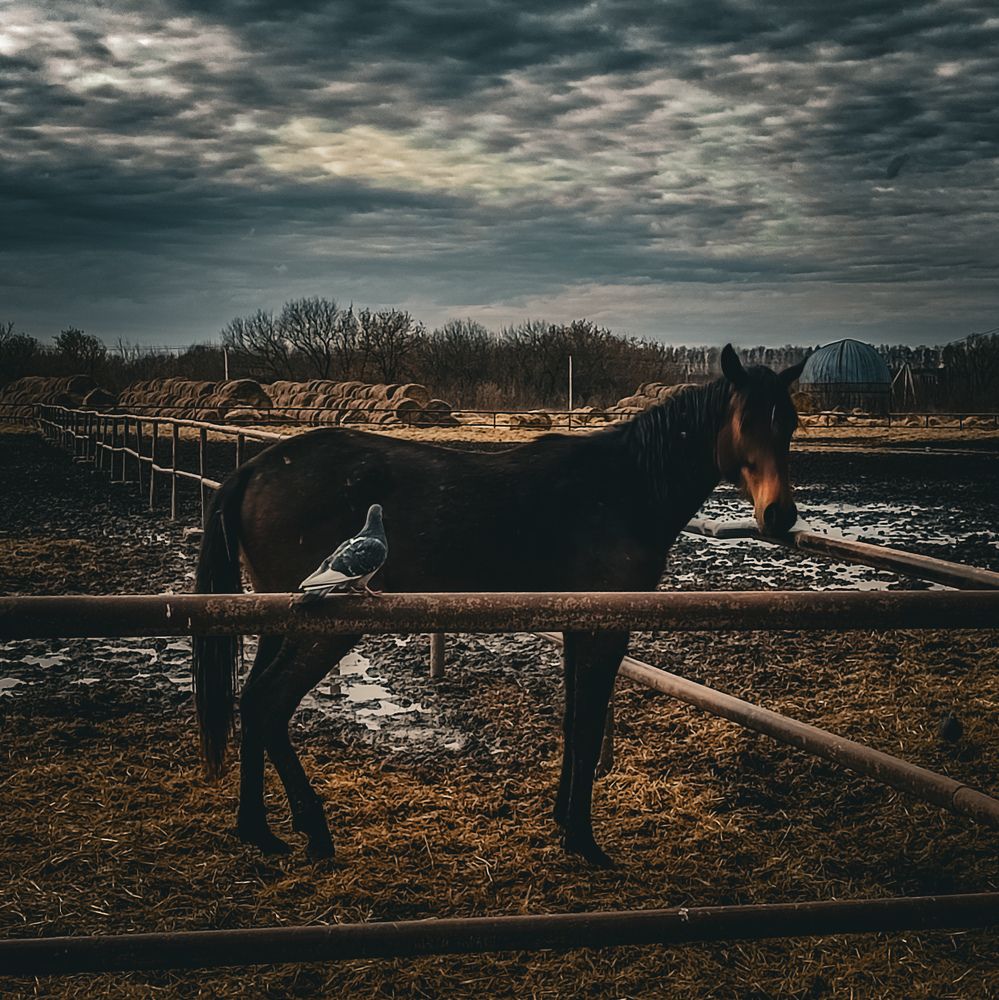 Фотография автора Нина Зинченко