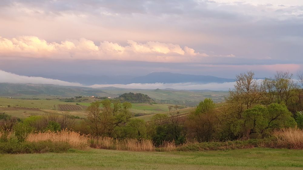 Photograph by Viktorova