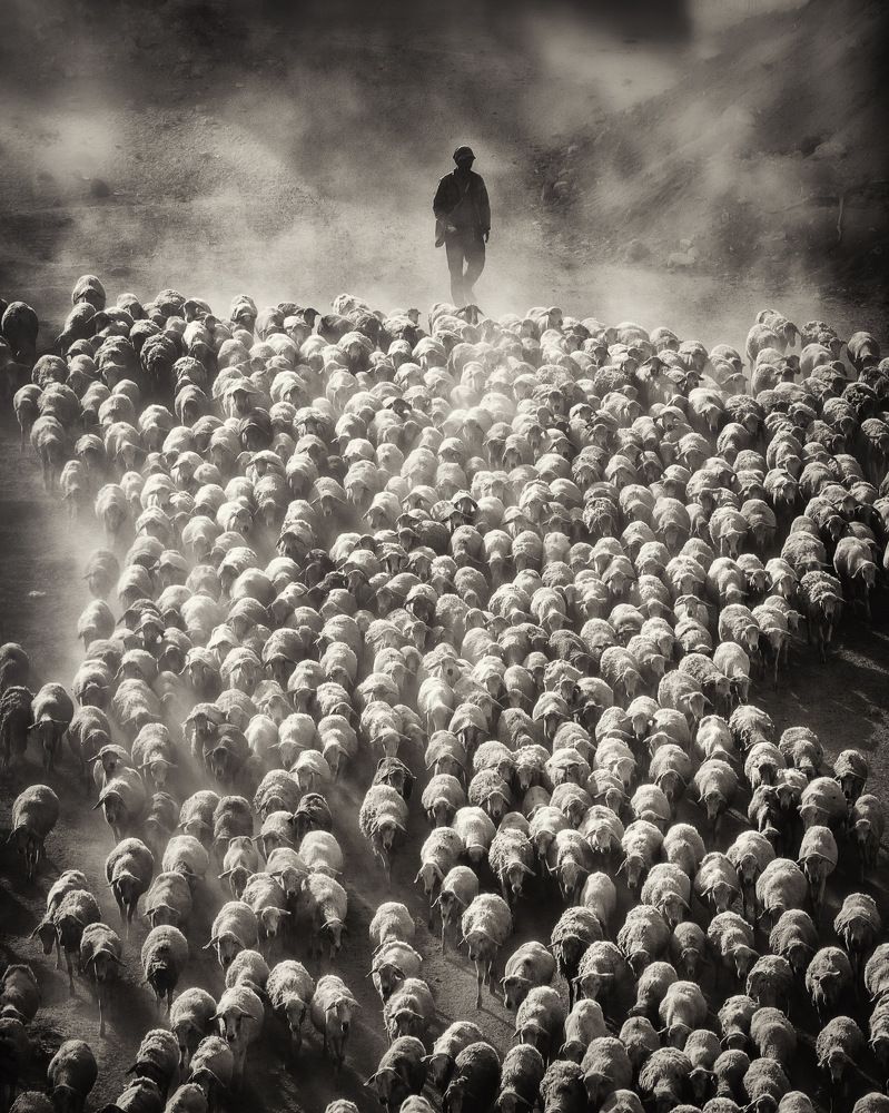 The home bound journey