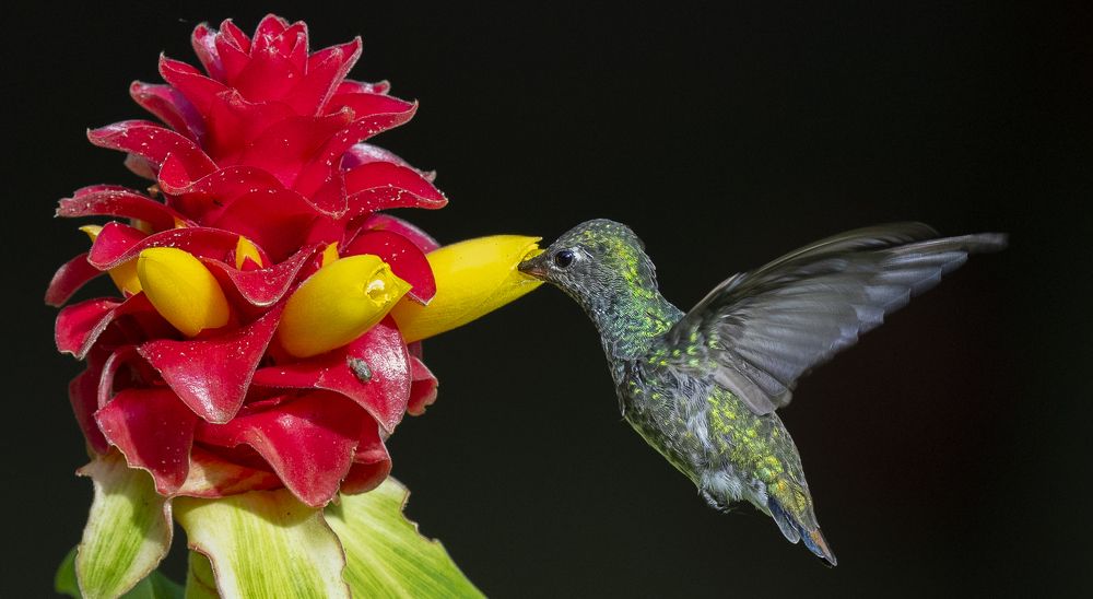 Photograph by Alberto Camardiel