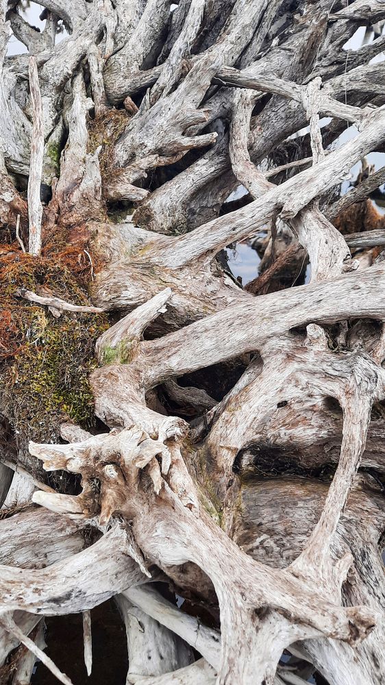 Photograph by Олеся Покровская