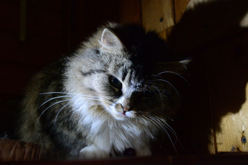 Photograph by Олеся Кузнецова