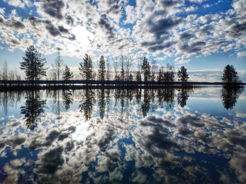 Photograph by Lev Kaufman