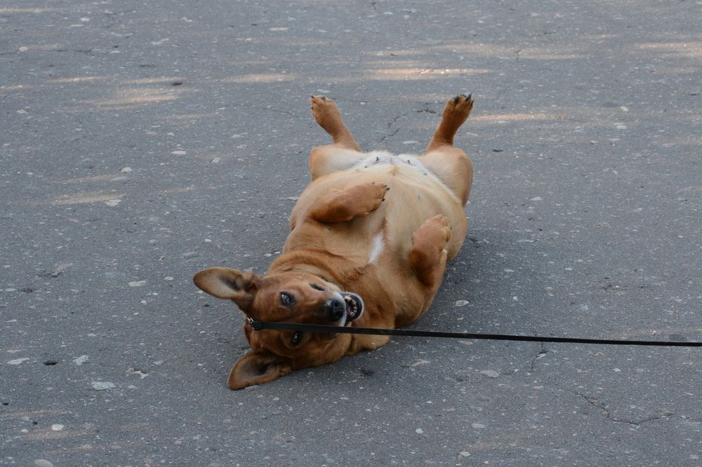 Photograph by Олеся Кузнецова