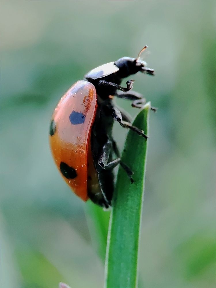 Photograph by Юлия Гинтер