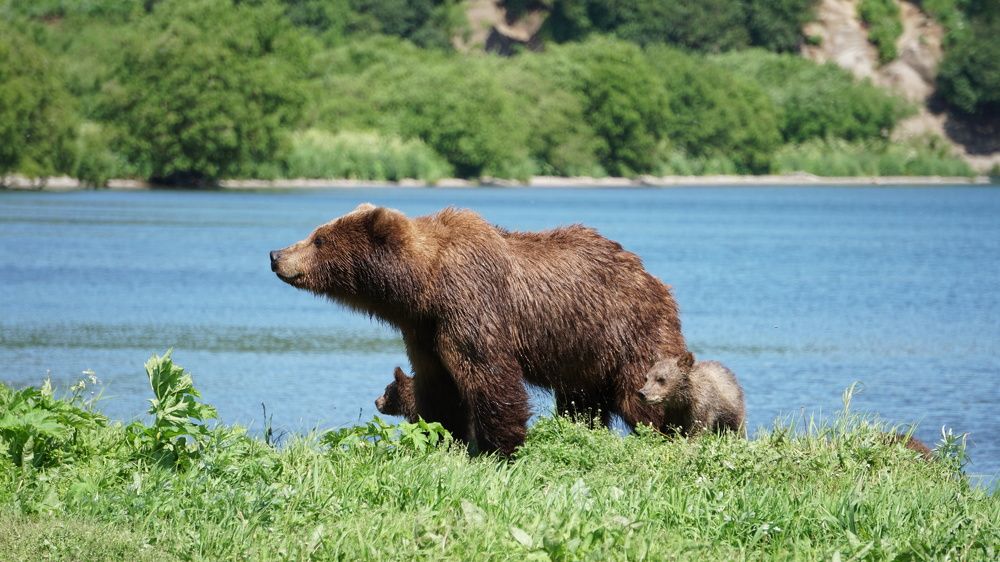 Photograph by Elena Poddubnaja