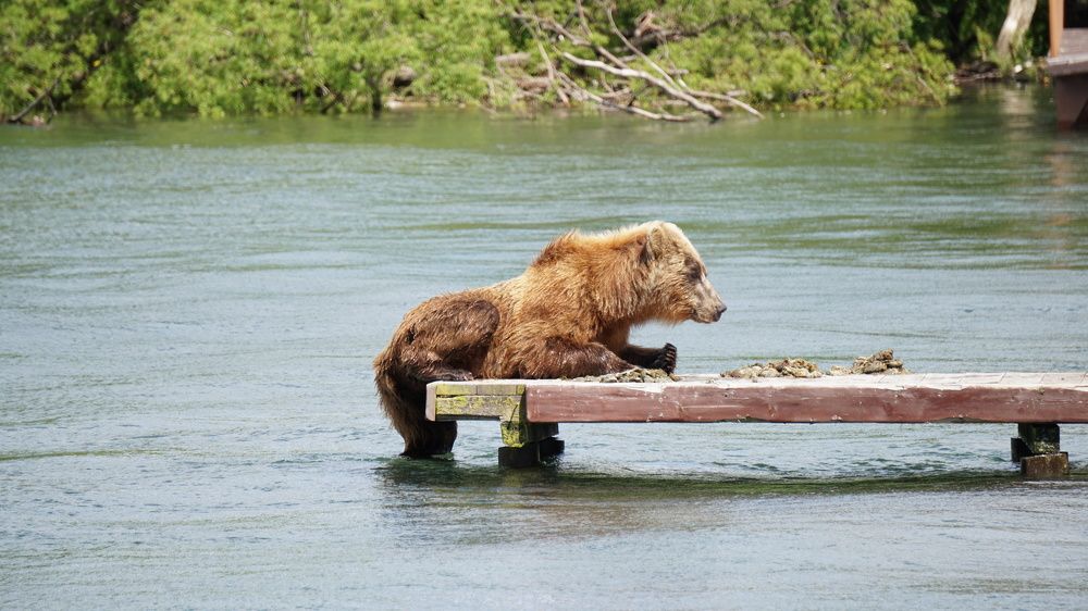 Photograph by Elena Poddubnaja