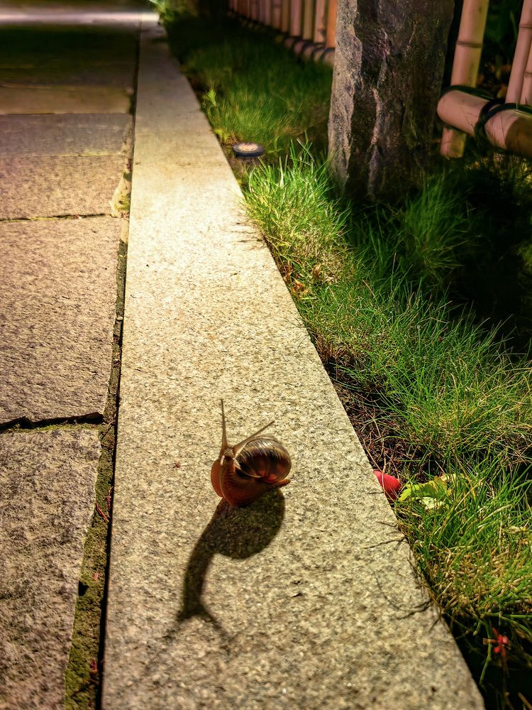 Photograph by Ольга Бажина