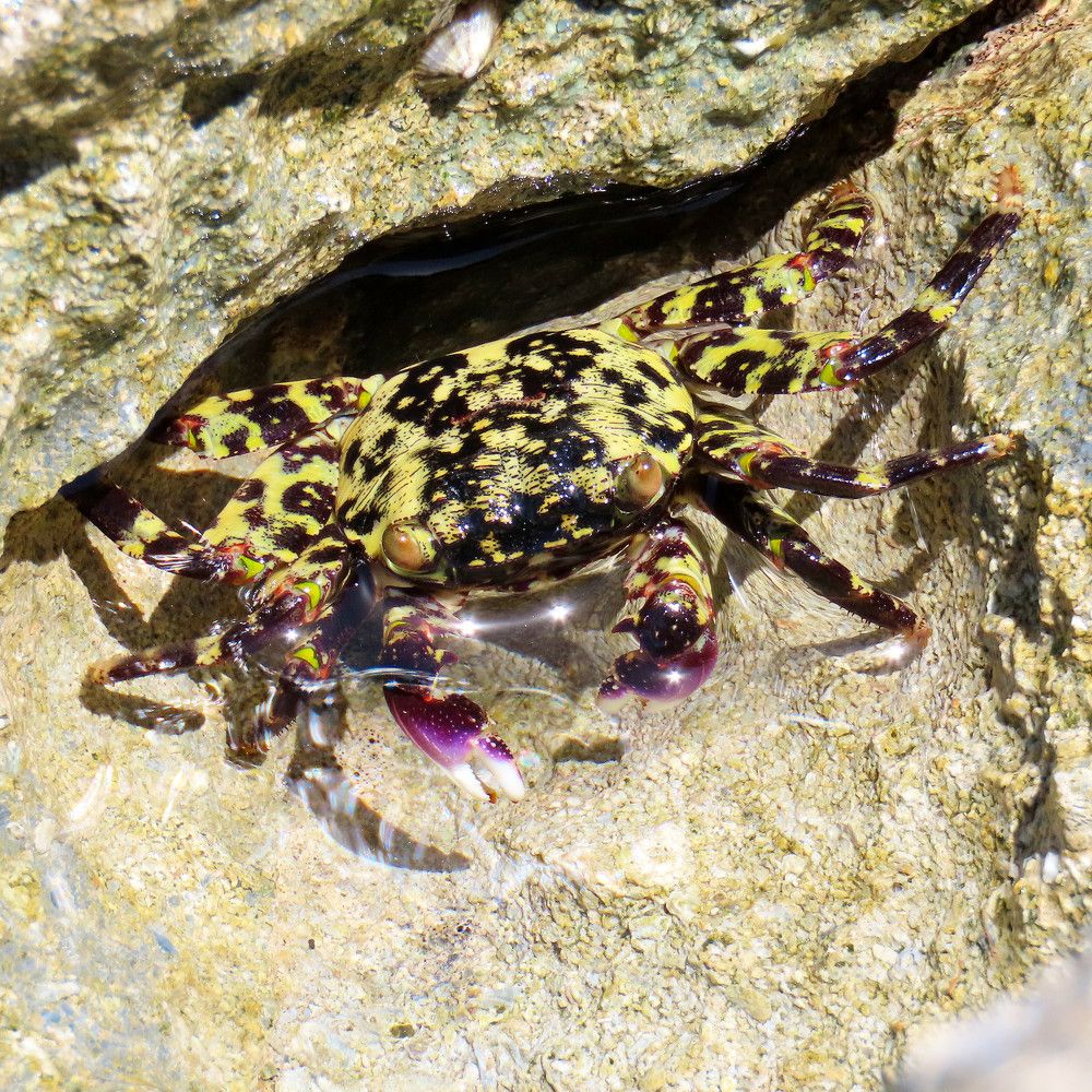 Photograph by mahboube moradalizade