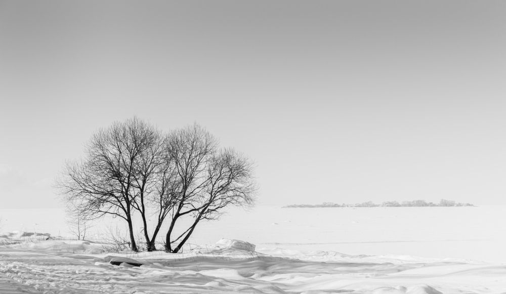 Photograph by Евгений Волосков