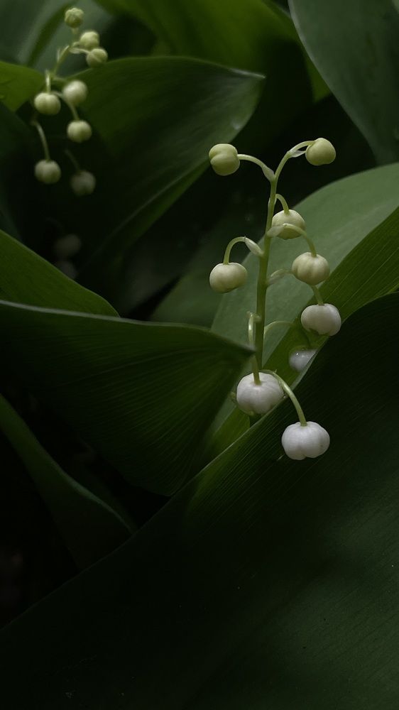 Photograph by Анна Пигулевская