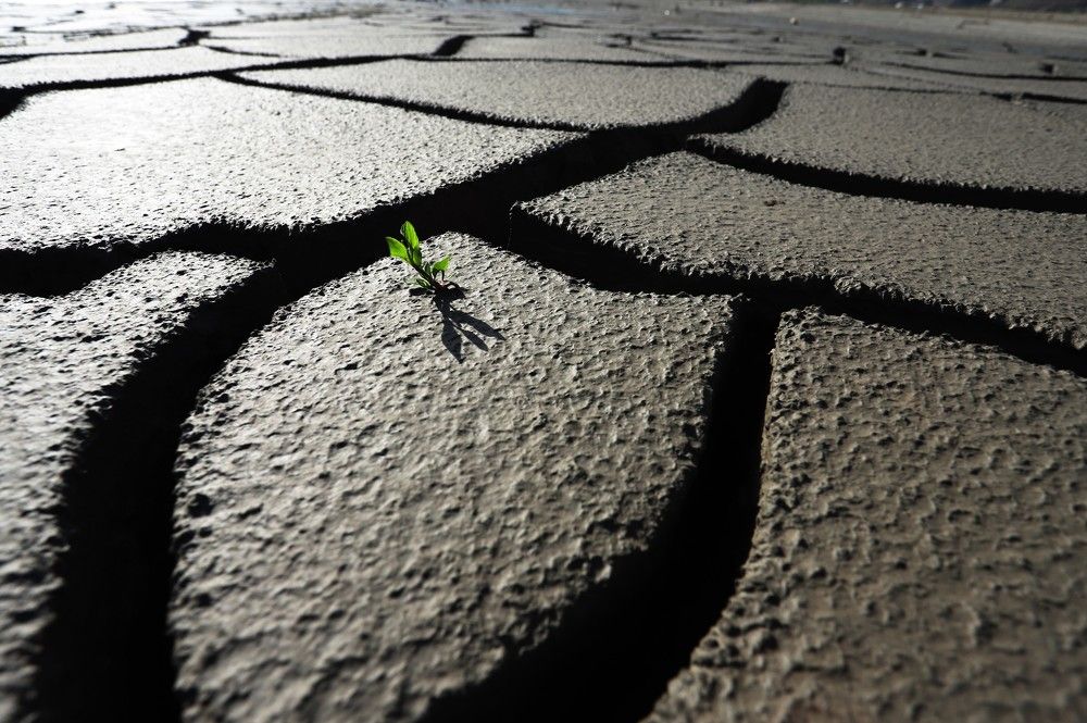 Photograph by Максимушкина Ольга